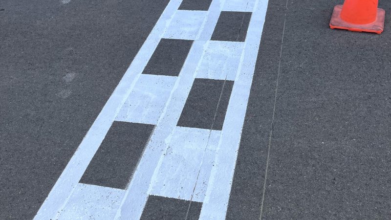 motorsport grid motogp
