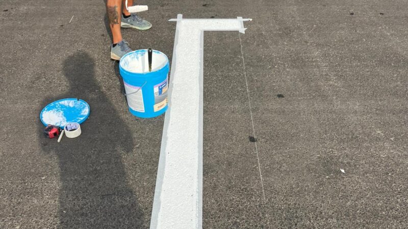 painting the starting grid for F1 roadgrip