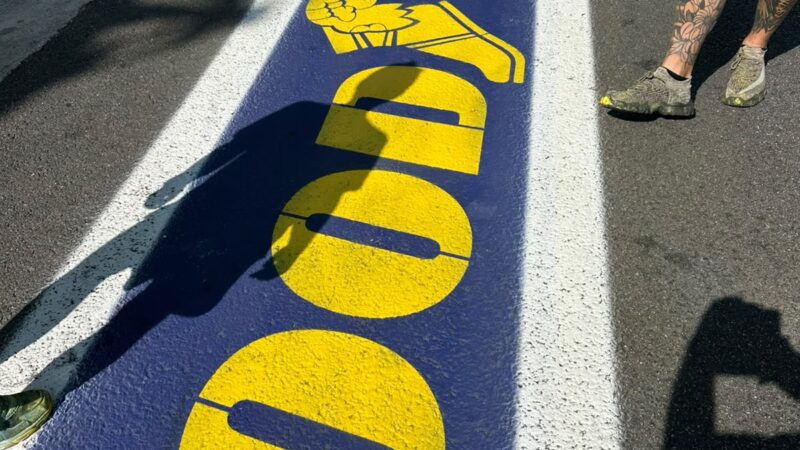 pitlane branding WEC