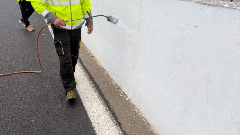 racetrack wall painting spa