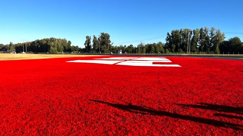 red grass painting branding sponsor portland