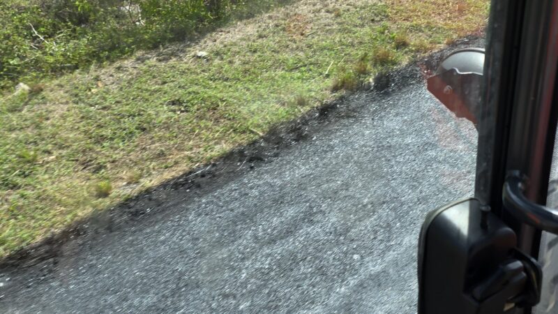 rhinophalt road preservation