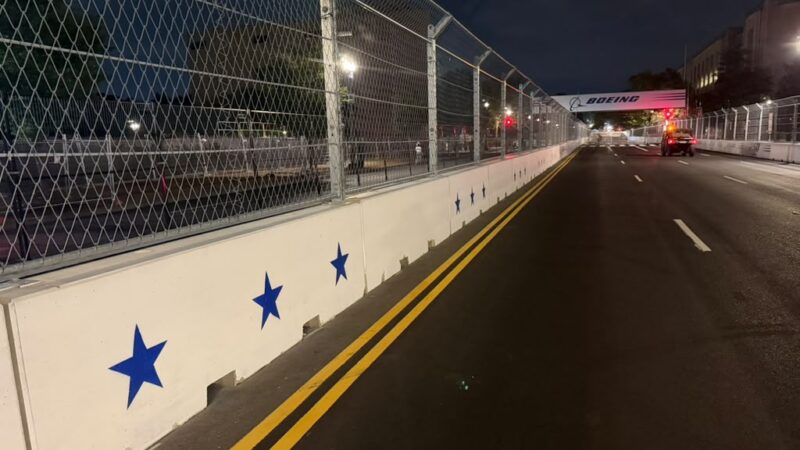 wall painting freedom 250